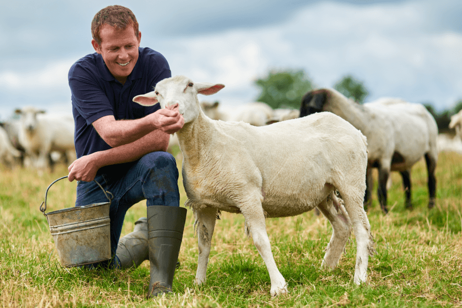 A farmer with a lamb
